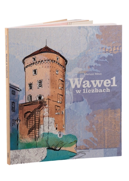 Wawel w liczbach | Mariusz Meus