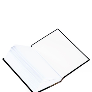 Notes wawelski Lew - 4