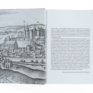 Wawel i XVI wiek - 5