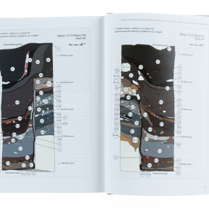 Wawel i XVI wiek - 6