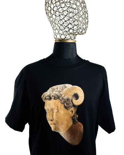 T-shirt Głowy Wawelskie - Mężczyzna z rogami | L