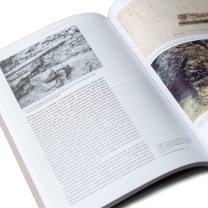 Acta Archaeologica Waweliana | tom VII - 2